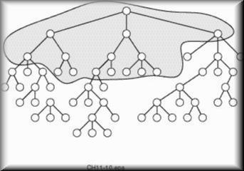 fig11-10