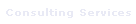 Consulting Services